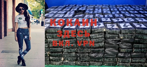 a pvp Дмитров