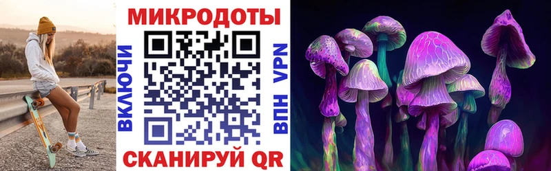 Галлюциногенные грибы Psilocybe  Купить закладки  Комсомольск 